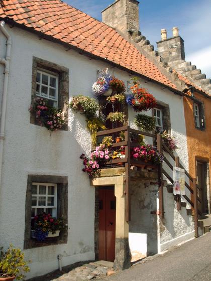 Cottage floral display Tanhouse Brae